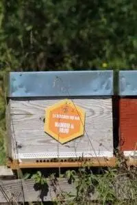 Parrainer une ruche pour deux ans