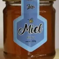 Miel de forêt 250g - Pour les amateurs de miel robuste et parfumé