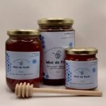 Nos différents pots de miel de forêt