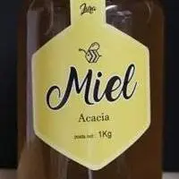 Pot de miel d'acacia 1kg - Idéal pour les grandes familles et les gourmands