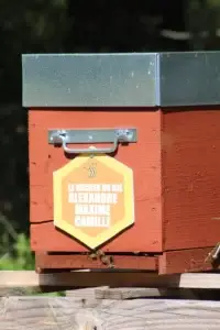 Parrainer votre ruchette pour un an