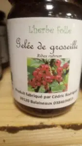 Gelée de groseille