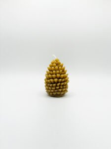 bougie pomme de pains