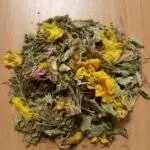 Tisane Fortifiante