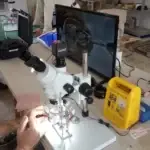 Mise en place d'une reine abeille pour sont insémination
