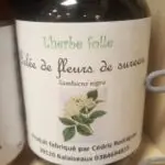 Gelée de sureau
