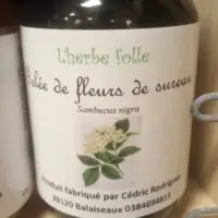 Gelée de Fleurs de sureaux