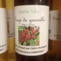 Sirop de groseille