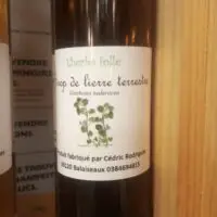 Sirop de lierre