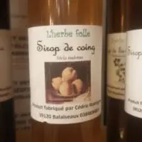 Sirop de coing