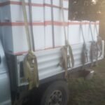 Essaim Buckfast de l'année 2026 Hiverner