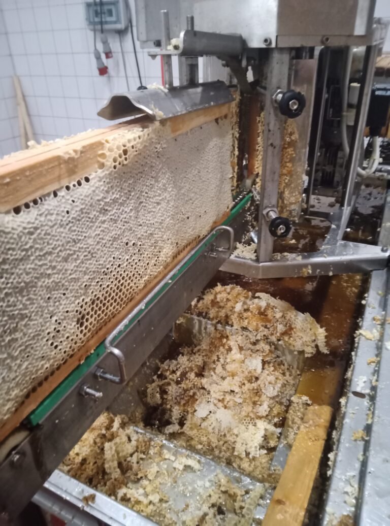 Miel de fleurs d’été du Jura : goût, bienfaits & utilisations
