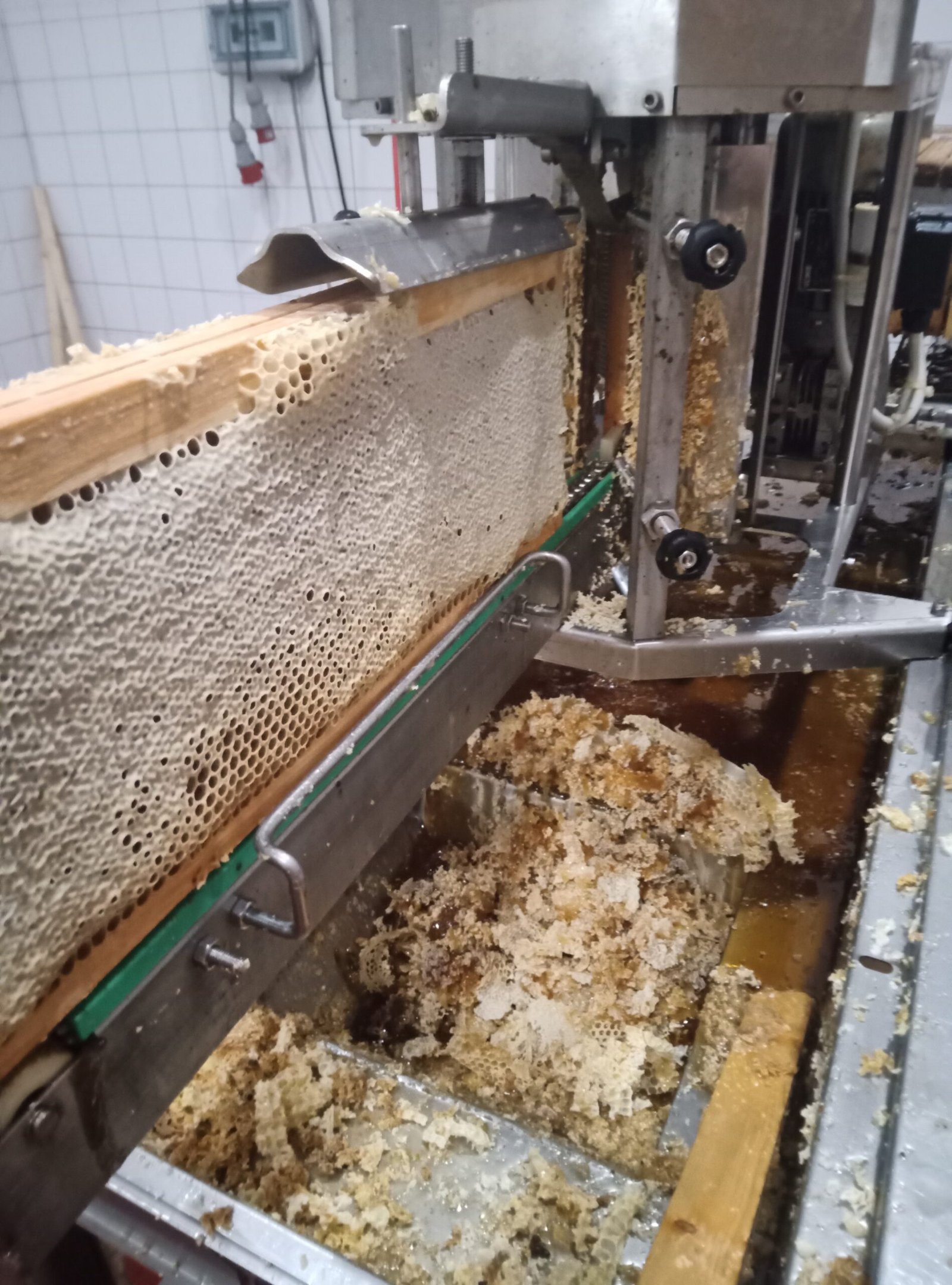 Miel de fleurs d’été du Jura : goût, bienfaits & utilisations